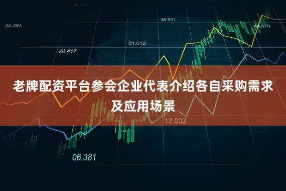 老牌配资平台参会企业代表介绍各自采购需求及应用场景