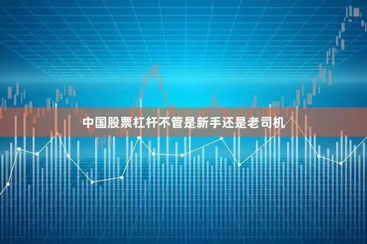 中国股票杠杆不管是新手还是老司机