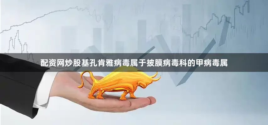配资网炒股基孔肯雅病毒属于披膜病毒科的甲病毒属