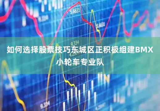 如何选择股票技巧东城区正积极组建BMX小轮车专业队